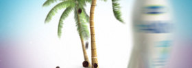 Acai_002_web