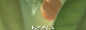 Juicynarance_movie01_web
